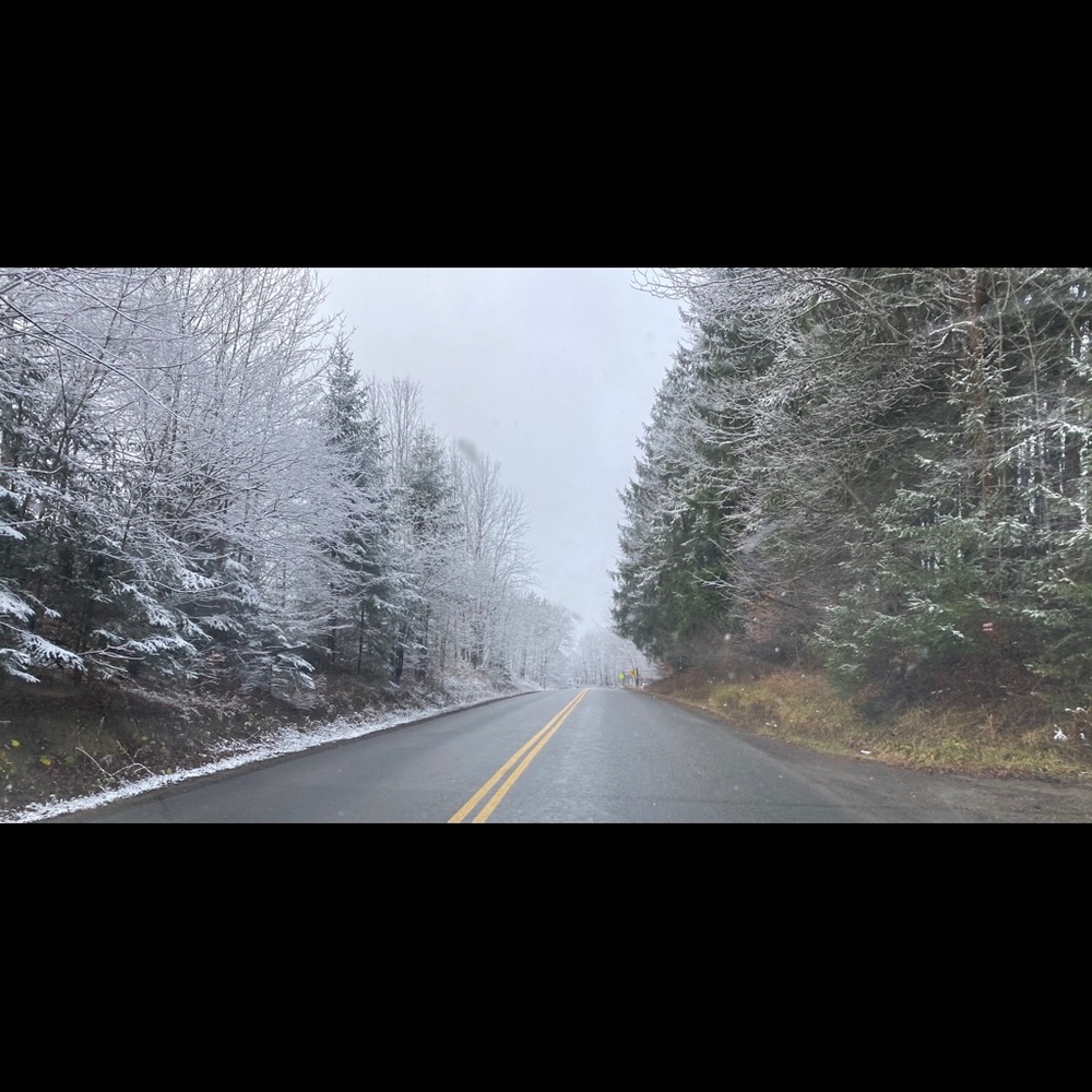 Meet your Posher, Brandi